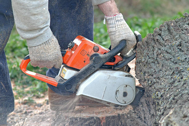  , USA Tree Care Pros